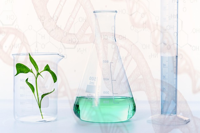 高效聚氨酯凝膠催化劑：三乙烯二胺（TEDA）的作用機理與應用